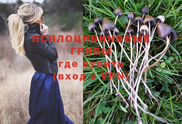 таблы Горнозаводск