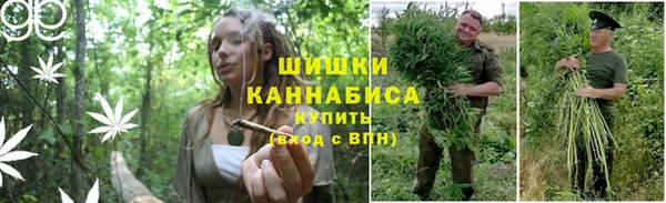 СК Горно-Алтайск