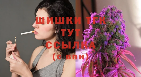СК Горно-Алтайск