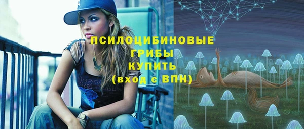 таблы Горнозаводск